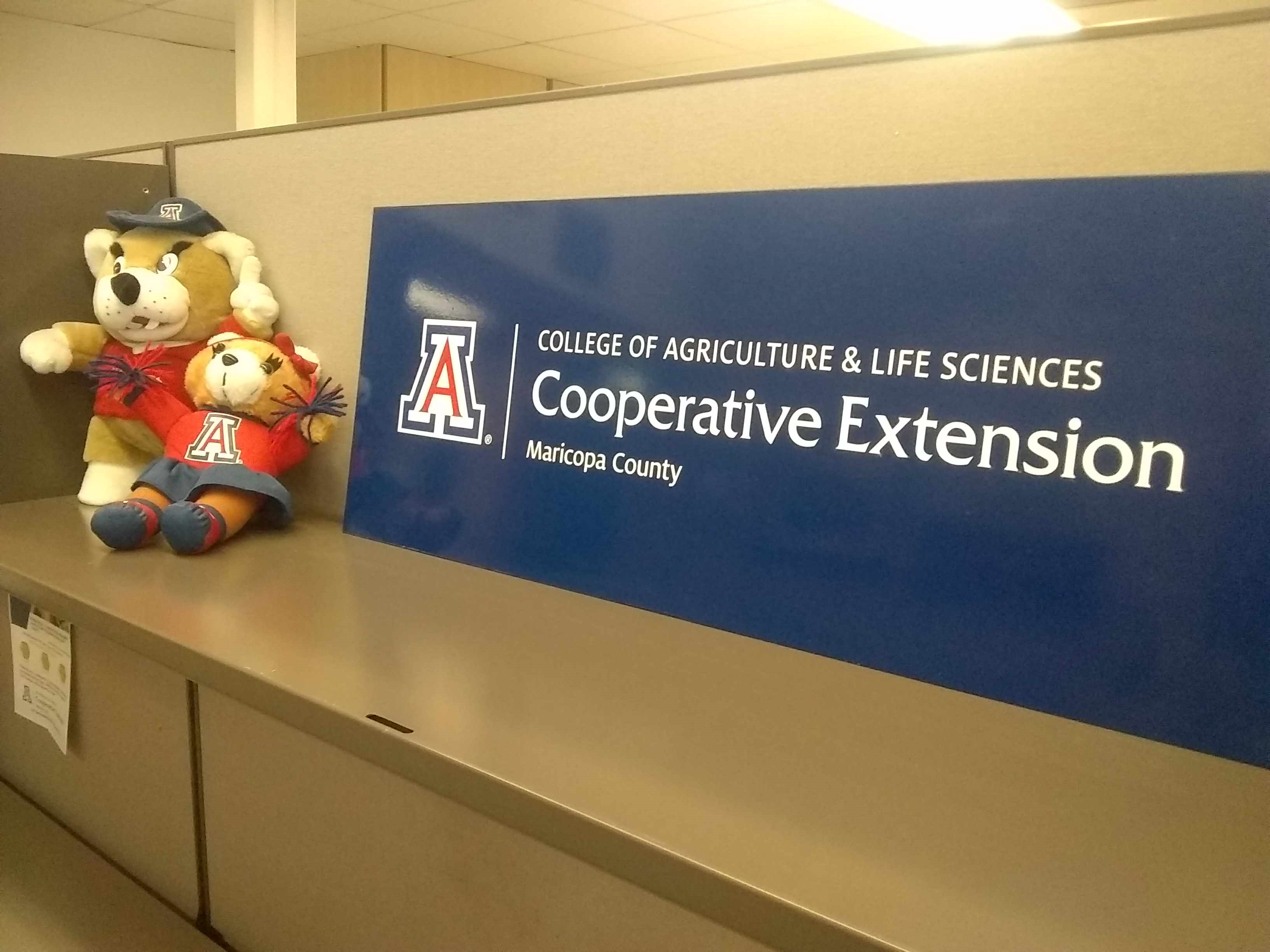 University of Arizona mascots Wilbur and Wilma greet visitors to the Maricopa County Extension office in Phoenix.