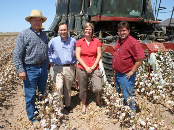 Photo of Vice President Burgess touring cotton field