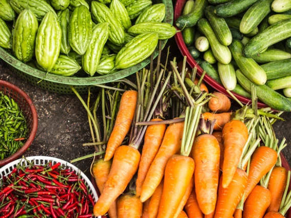 Bowls of red and green peppers, carrots and cucumbers